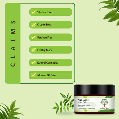 Anti Acne Frost Gel