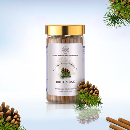 Brut Musk Dhoop
