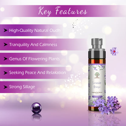 Lavender Breeze Air Freshener